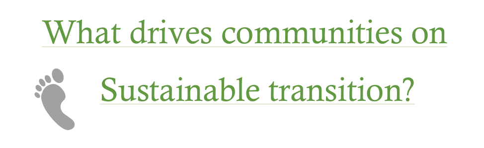 What drives communities on the sustainable transition?